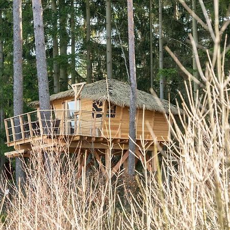 Treehouse U Rybnika Hotel Osecna Exterior photo